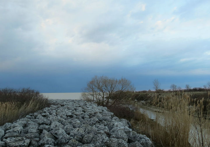 Maumee Bay